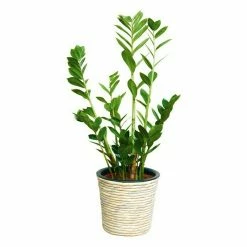 BAUHAUS A.H.G. Übertopf Rund Außenmaß (Ø X H): 40 X 32 Cm, Waschweiß