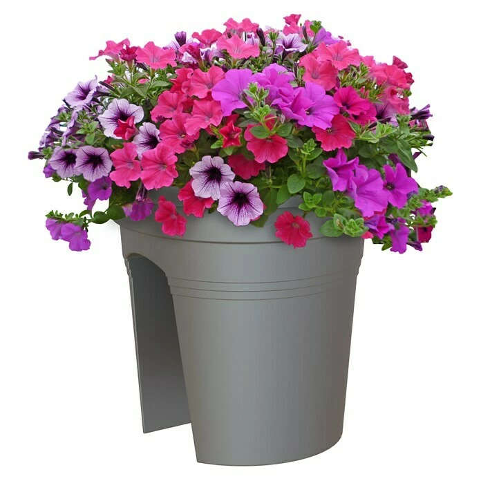 BAUHAUS Artevasi Venezia Geländertopf Außenmaß (Ø X H): 30 X 27 Cm, Kunststoff, Anthrazit – Bild 2