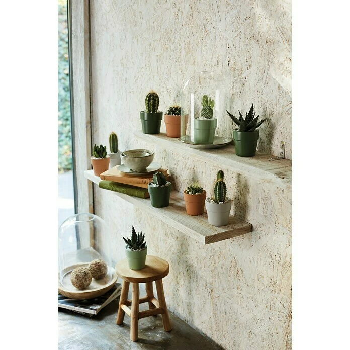 BAUHAUS SK Übertopf Rund Lima Außenmaß (Ø X H): 7 X 7 Cm, Moosgrün, Keramik, Matt – Bild 2