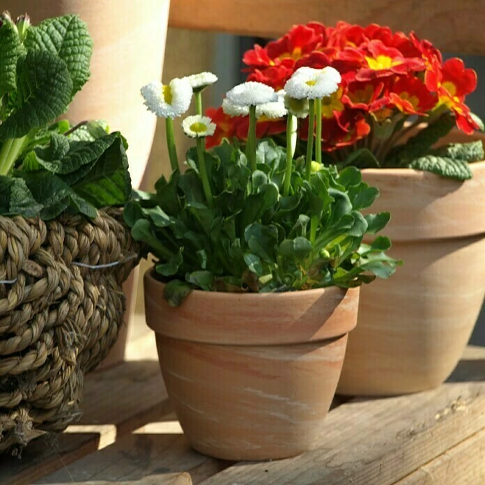 BAUHAUS Pflanztopf Levante Außenmaß (Ø X H): 21 X 18 Cm, Naturmaterialien, Hell Marmoriert – Bild 3