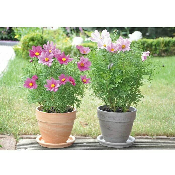 BAUHAUS Pflanztopf Levante Außenmaß (Ø X H): 21 X 18 Cm, Naturmaterialien, Hell Marmoriert – Bild 4