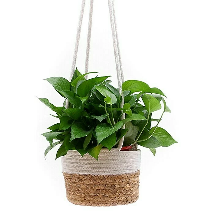 BAUHAUS Blumenampel Naturmaterialien, Grau/Weiß – Bild 2