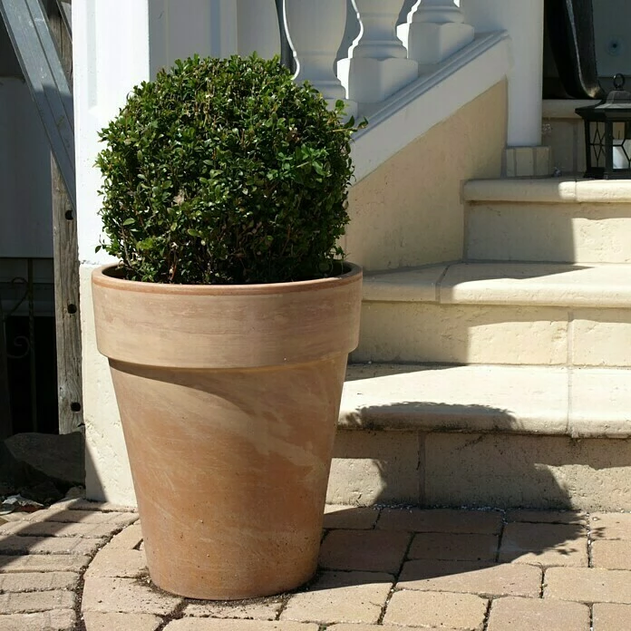BAUHAUS Pflanztopf Außenmaß (Ø X H): 38 X 45 Cm, Naturmaterialien, Terracotta