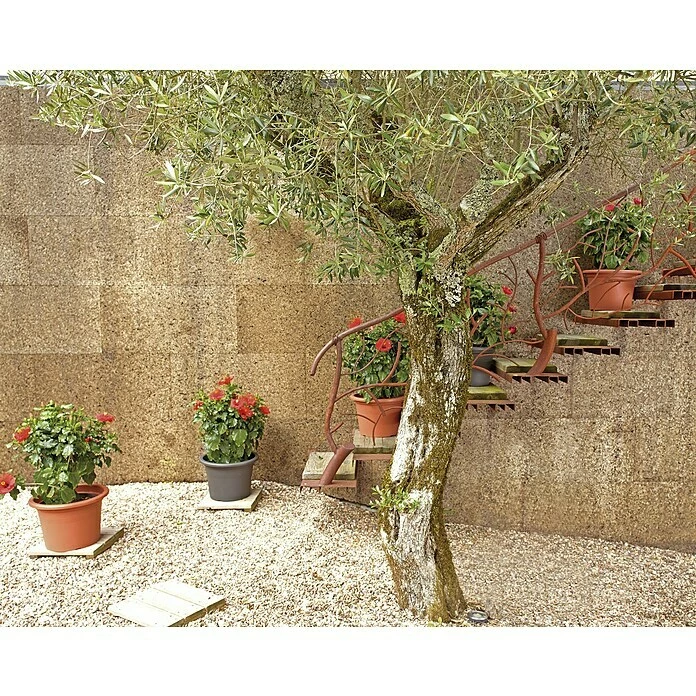 BAUHAUS Artevasi Venezia Pflanztopf Cilindro Außenmaß (Ø X H): 45 X 31,8 Cm, Kunststoff, Terracotta – Bild 4