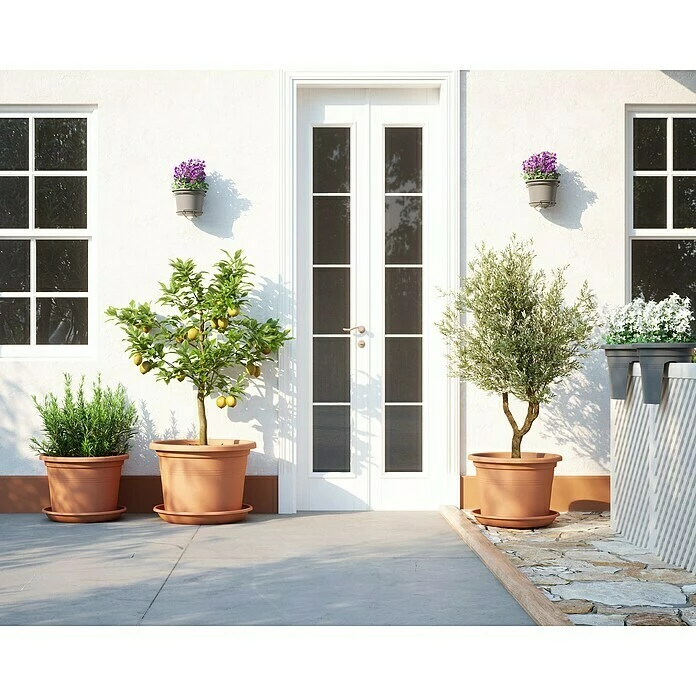 BAUHAUS Artevasi Venezia Pflanztopf Cilindro Außenmaß (Ø X H): 45 X 31,8 Cm, Kunststoff, Terracotta – Bild 6