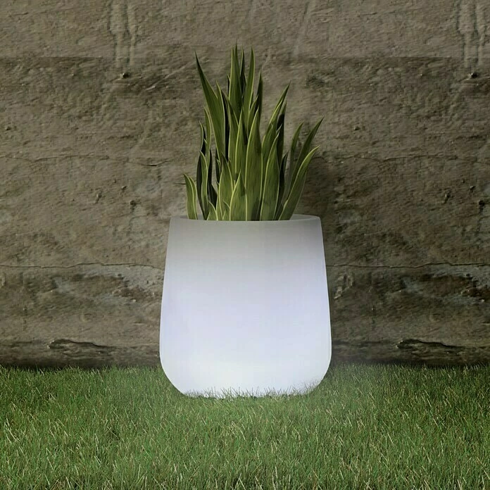 BAUHAUS LED-Blumentopf Camelia Höhe: 40 Cm, Polyethylen
