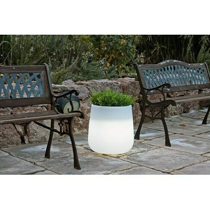 BAUHAUS LED-Blumentopf Camelia Höhe: 40 Cm, Polyethylen – Bild 2