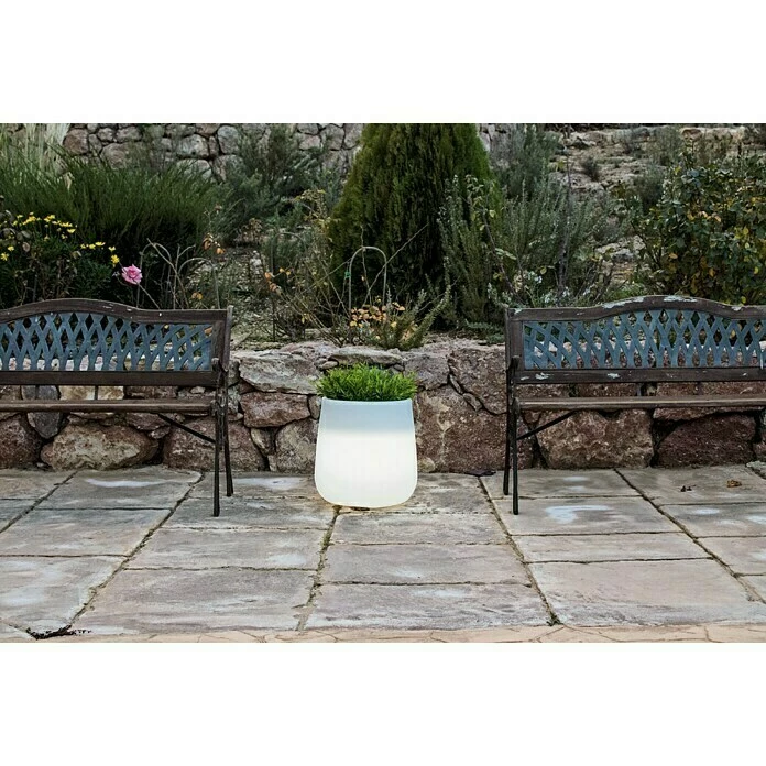 BAUHAUS LED-Blumentopf Camelia Höhe: 40 Cm, Polyethylen – Bild 3