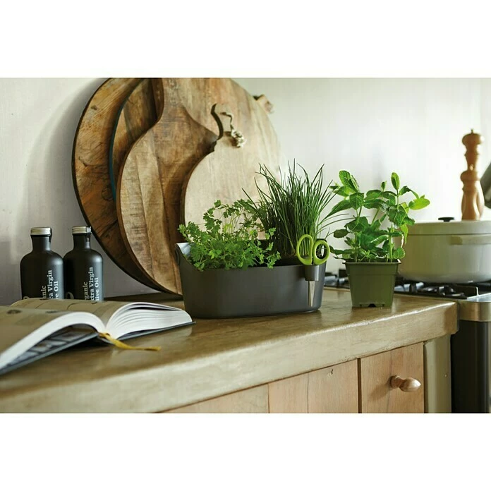 BAUHAUS Elho Brussels Kräutertopf Außenmaß (L X B X H): 29,8 X 18,5 X 13 Cm, Kunststoff, Anthrazit, Matt – Bild 2