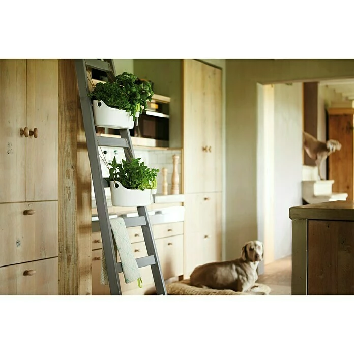 BAUHAUS Elho Brussels Kräutertopf Außenmaß (L X B X H): 29,8 X 18,5 X 13 Cm, Kunststoff, Anthrazit, Matt – Bild 3