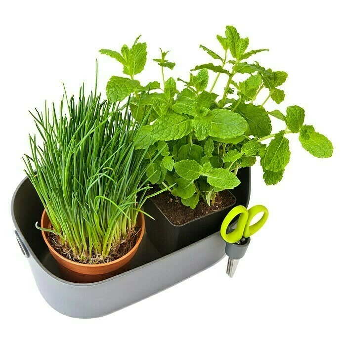 BAUHAUS Elho Brussels Kräutertopf Außenmaß (L X B X H): 29,8 X 18,5 X 13 Cm, Kunststoff, Anthrazit, Matt – Bild 4