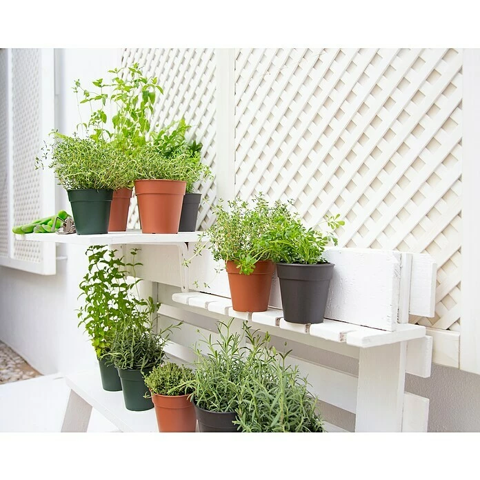 BAUHAUS Artevasi Madagascar Pflanztopf Außenmaß (Ø X H): 27 X 25 Cm, Kunststoff, Terrakotta – Bild 3