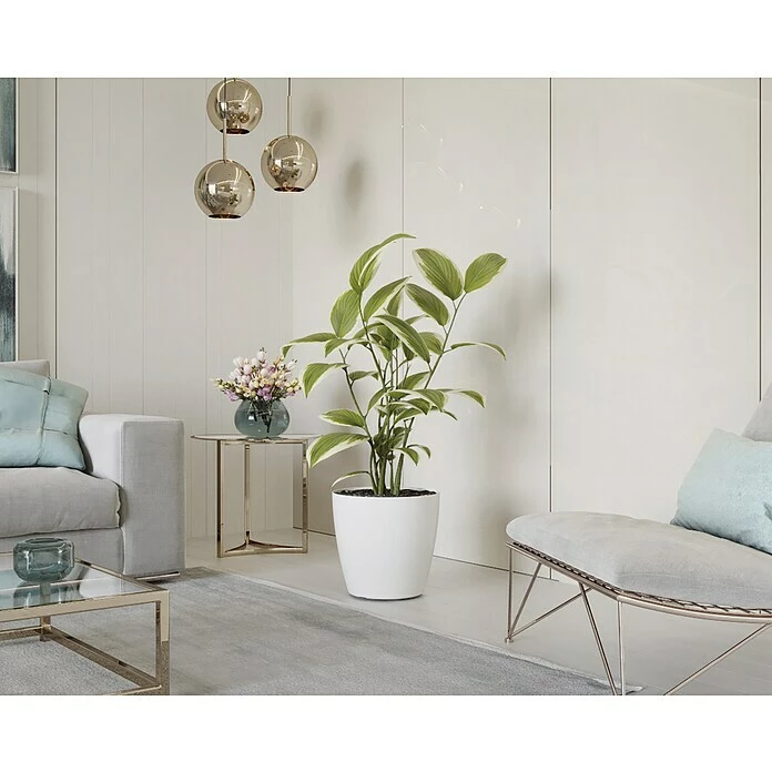 BAUHAUS Artevasi San Remo Übertopf Rund Außenmaß (Ø X H): 25 X 23 Cm, Weiß – Bild 3