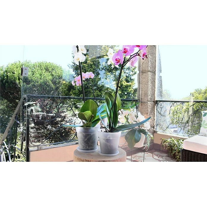 BAUHAUS Artevasi Madagascar Orchideentopf Außenmaß (Ø X H): 13 X 12,4 Cm, Kunststoff, Transparent – Bild 3