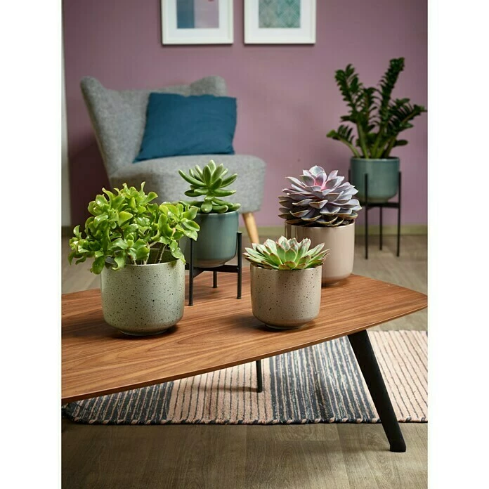 BAUHAUS Soendgen Keramik Übertopf Rund Bari Außenmaß (Ø X H): 24 X 22 Cm, Graugrün, Keramik – Bild 3