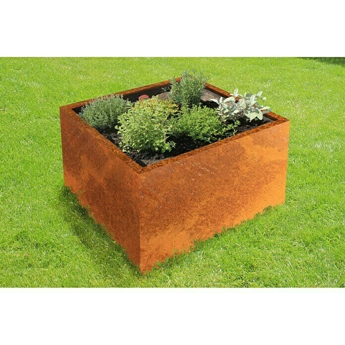 BAUHAUS Palatino Exlusive Line Pflanzkübel Eckig Clara 80 X 80 X 50 Cm, Cortenstahl, Rotbraun – Bild 3