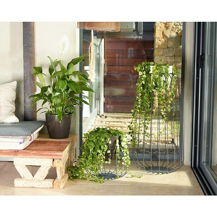 BAUHAUS Artevasi San Remo Übertopf Rund Außenmaß (Ø X H): 42 X 39,5 Cm, Taupe – Bild 3