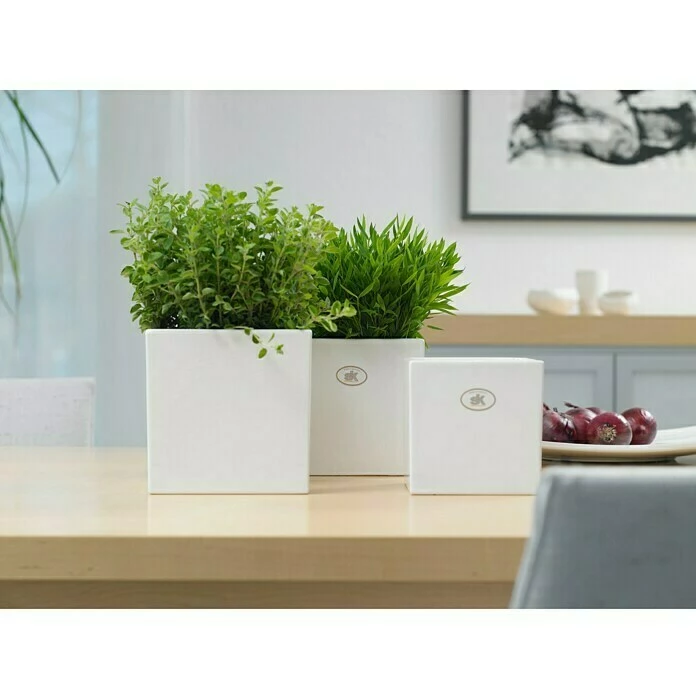 BAUHAUS SK Übertopf Eckig Latina Außenmaß (L X B X H): 8 X 8 X 7 Cm, Keramik, Weiß, Glänzend – Bild 2