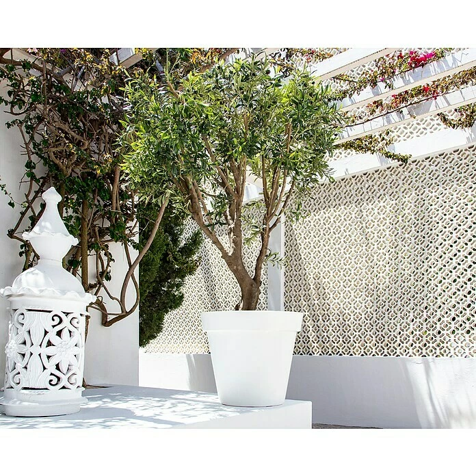 BAUHAUS Artevasi Capri Pflanztopf Außenmaß (Ø X H): 20 X 18,9 Cm, Kunststoff, Weiß – Bild 5