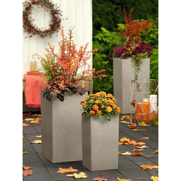 BAUHAUS Lechuza Color Pflanzsäule Eckig Canto Außenmaß (L X B X H): 40 X 40 X 76 Cm, Kunststoff, Sandbeige – Bild 2