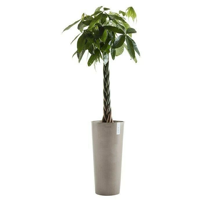 BAUHAUS Ecopots Amsterdam Pflanzsäule Rund Außenmaß (Ø X H): 32,5 X 70 Cm, Kunststoff, Taupe – Bild 2