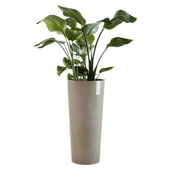BAUHAUS Ecopots Amsterdam Pflanzsäule Rund Außenmaß (Ø X H): 32,5 X 70 Cm, Kunststoff, Taupe – Bild 3