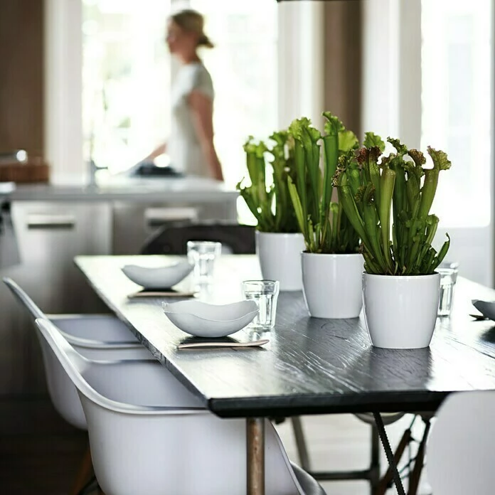 BAUHAUS Elho Brussels Diamond Übertopf Rund Außenmaß (Ø X H): 18 X 17 Cm, Weiß, Kunststoff, Glänzend – Bild 2