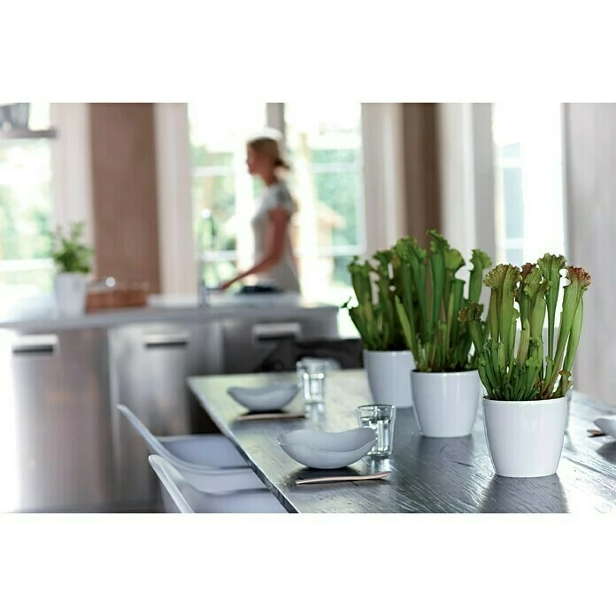 BAUHAUS Elho Brussels Diamond Übertopf Rund Außenmaß (Ø X H): 18 X 17 Cm, Weiß, Kunststoff, Glänzend – Bild 3