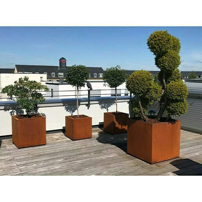 BAUHAUS Palatino Exlusive Line Pflanzkübel Eckig Nora 60 X 60 X 60 Cm, Cortenstahl, Rotbraun – Bild 4