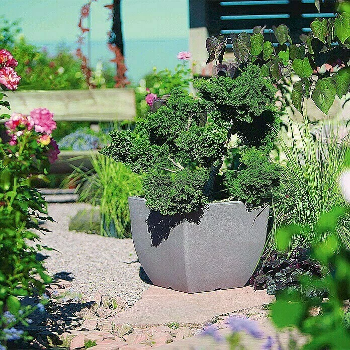 BAUHAUS Geli Pflanzkübel Eckig Ravenna Außenmaß (L X B X H): 40 X 40 X 34 Cm, Kunststoff, Taupe – Bild 2