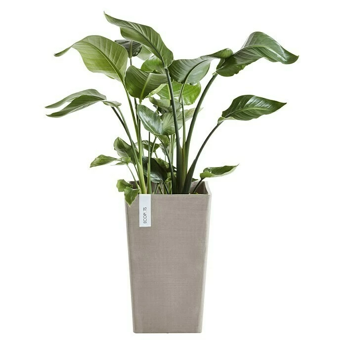 BAUHAUS Ecopots Pflanzsäule Eckig Rotterdam Medium Außenmaß (L X B X H): 30 X 30 X 50 Cm, Kunststoff, Taupe – Bild 2