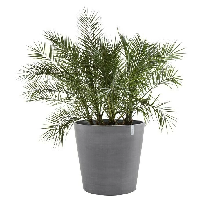 BAUHAUS Ecopots Amsterdam Pflanzkübel Rund Außenmaß (Ø X H): 56 X 60 Cm, Kunststoff, Grau, Ausstattung Pflanzgefäß: Rollen – Bild 2