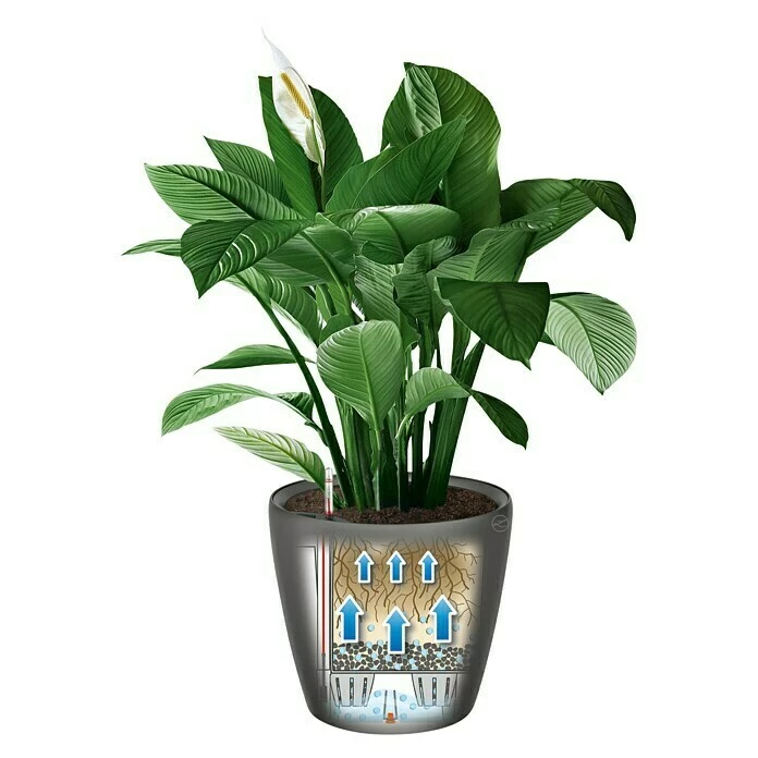 BAUHAUS Lechuza Pflanztopf CLASSICO Premium LS Außenmaß (Ø X H): 36 X 32,5 Cm, Kunststoff, Anthrazit Metallic – Bild 4