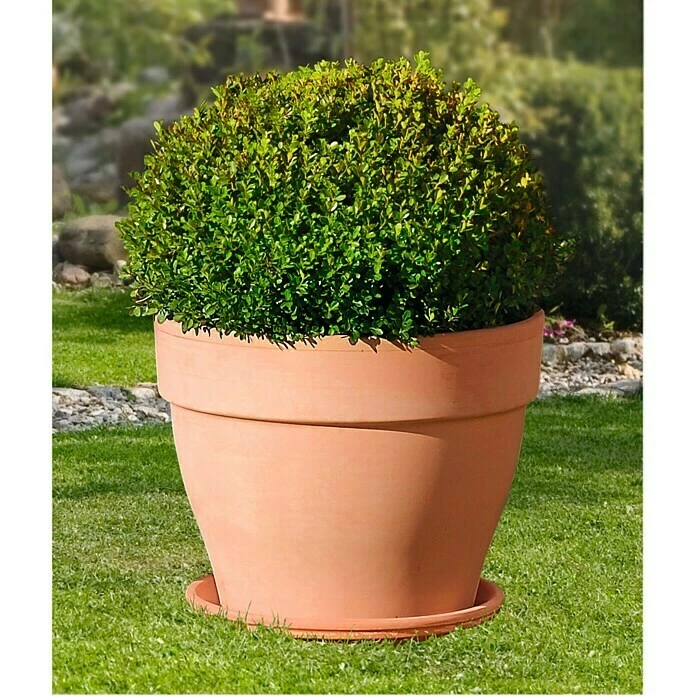 BAUHAUS Deroma White Garden Pflanztopf Montelupo Set Außenmaß (Ø X H): 27 X 24,5 Cm, Naturmaterialien, Tonweiß