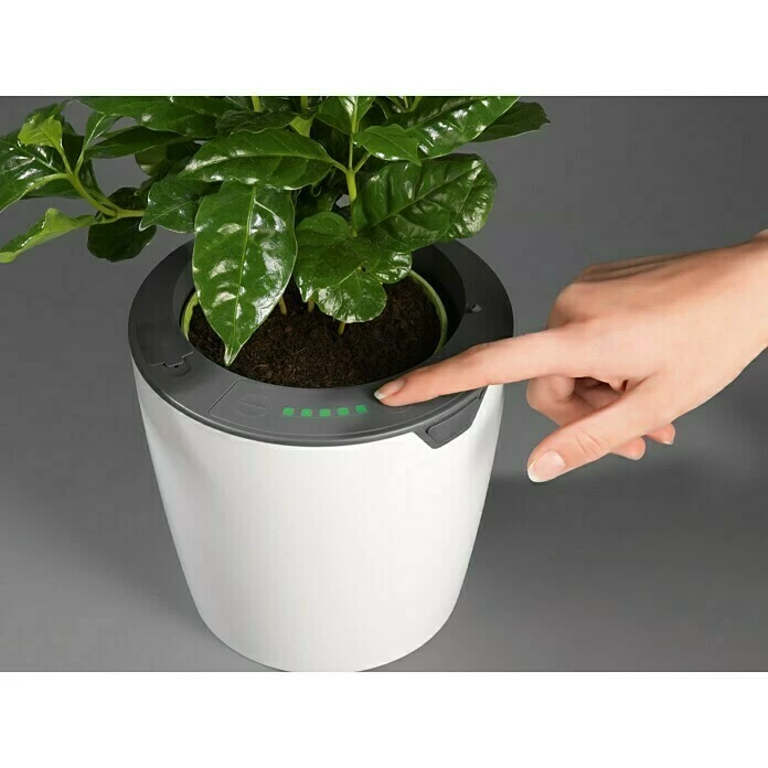 BAUHAUS Lazy Leaf Übertopf Rund Außenmaß (Ø X H): 17 X 16 Cm, Weiß, Kunststoff, Matt – Bild 3