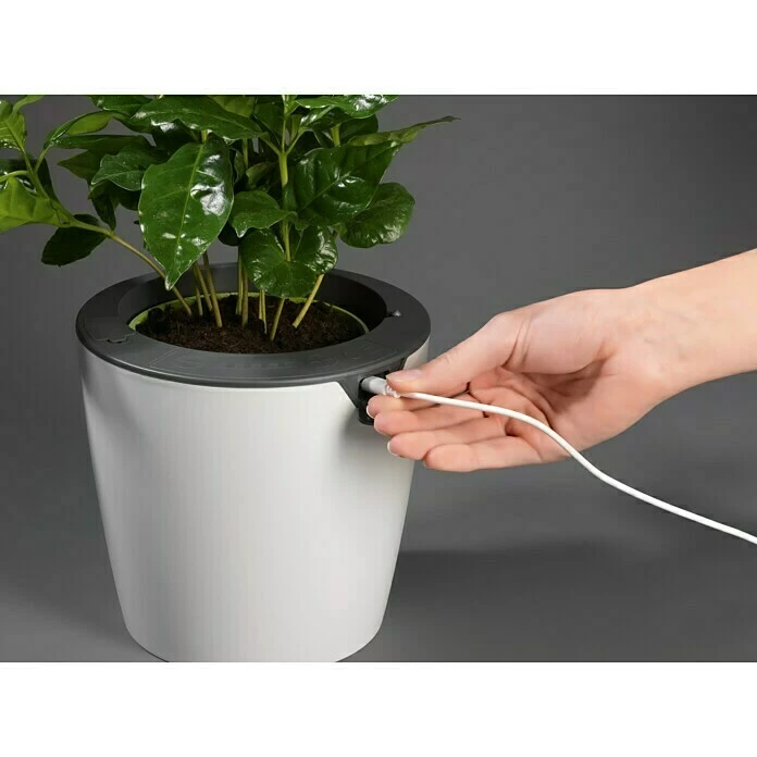 BAUHAUS Lazy Leaf Übertopf Rund Außenmaß (Ø X H): 17 X 16 Cm, Weiß, Kunststoff, Matt – Bild 6