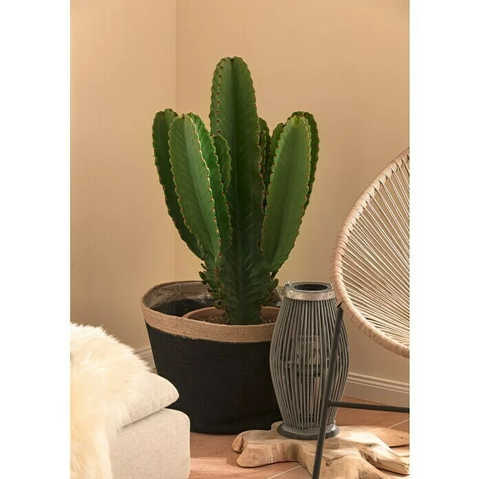 BAUHAUS Korb Jute Ø X H: 23 X 19 Cm, Schwarz/Braun