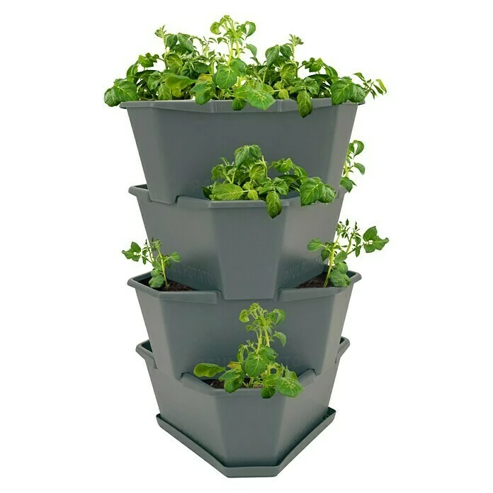 BAUHAUS Gusta Garden Pflanzturm Paul Potato 44 X 44 X 65 Cm, Anthrazit