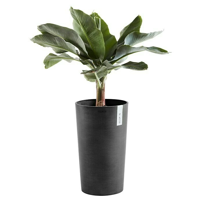BAUHAUS Ecopots Amsterdam Pflanzsäule Rund Außenmaß (Ø X H): 30 X 50 Cm, Kunststoff, Dunkelgrau – Bild 2