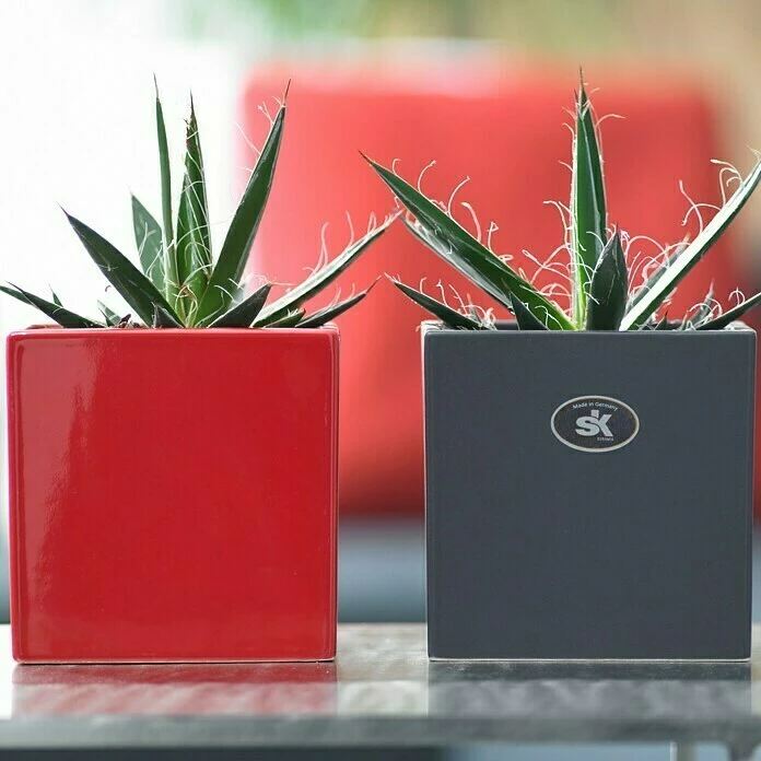 BAUHAUS SK Übertopf Eckig Latina Außenmaß (L X B X H): 19 X 19 X 19 Cm, Keramik, Anthrazit, Matt – Bild 2