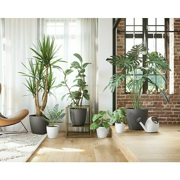 BAUHAUS Artevasi Pflanztopf San Remo Matt Außenmaß (Ø X H): 6 X 5,8 Cm, Kunststoff, Weiß – Bild 3