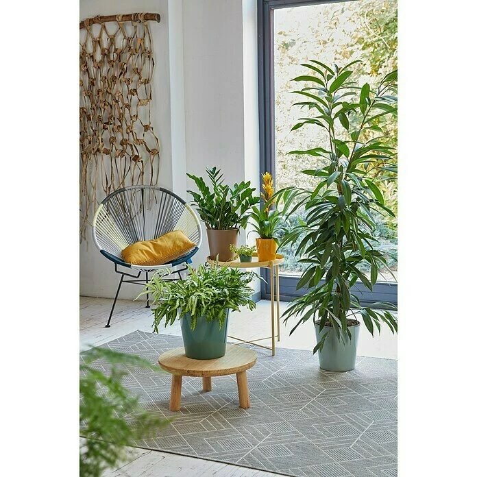 BAUHAUS Soendgen Keramik Übertopf Rund Dallas Breeze Außenmaß (Ø X H): 21 X 21 Cm, Seegrün, Keramik, Glänzend – Bild 2