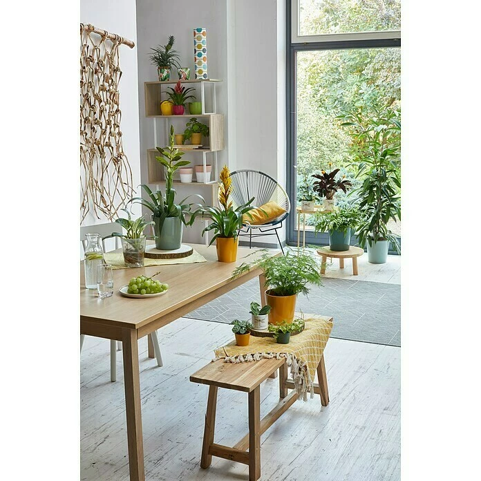 BAUHAUS Soendgen Keramik Übertopf Rund Dallas Breeze Außenmaß (Ø X H): 21 X 21 Cm, Seegrün, Keramik, Glänzend – Bild 3