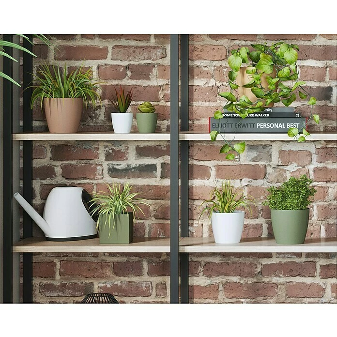 BAUHAUS Artevasi Pflanztopf San Remo Matt Außenmaß (Ø X H): 6 X 5,8 Cm, Kunststoff, Weiß – Bild 5