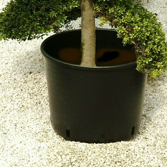 BAUHAUS Floraworld Comfort Pflanzencontainer 45 L, Kunststoff, Schwarz – Bild 2