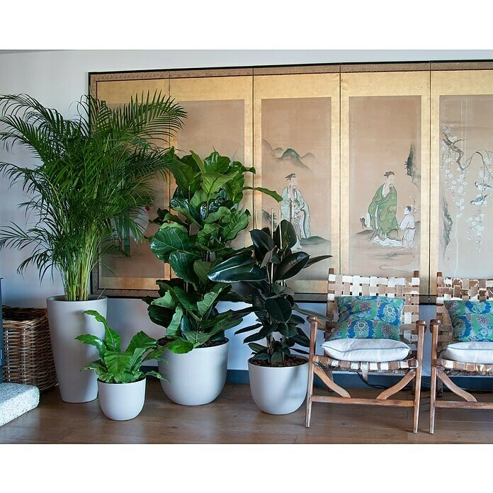 BAUHAUS Artevasi Pflanztopf Havana Natural Außenmaß (Ø X H): 40 X 33,2 Cm, Kunststoff, Granit – Bild 4