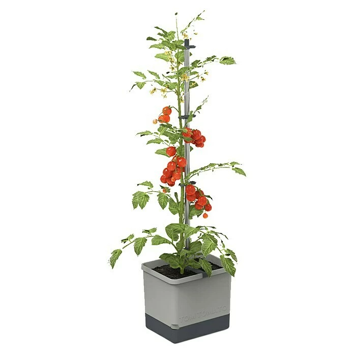 BAUHAUS Gusta Garden Pflanztopf Tom Tomato 28 X 35 X 136 Cm, Ausstattung: Bewässerungssystem