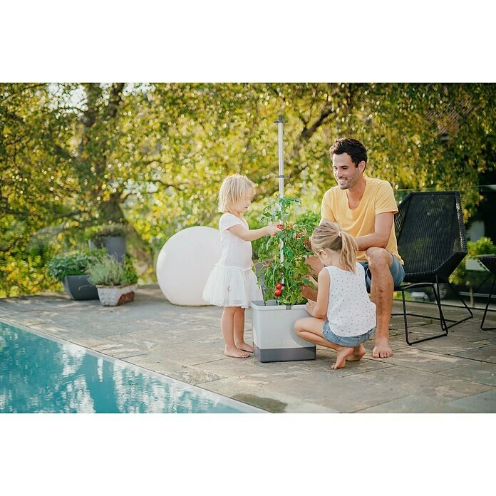 BAUHAUS Gusta Garden Pflanztopf Tom Tomato 28 X 35 X 136 Cm, Ausstattung: Bewässerungssystem – Bild 4