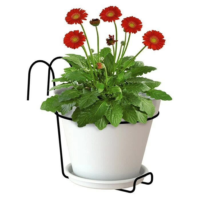 BAUHAUS Artevasi Capri Geländertopf Außenmaß (Ø X H): 20 X 18,9 Cm, Kunststoff, Weiß – Bild 2