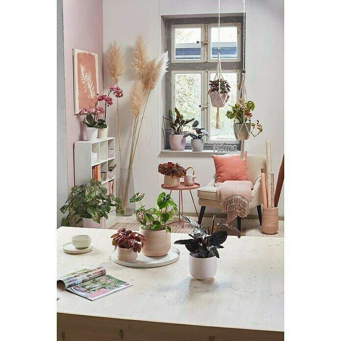 BAUHAUS Soendgen Keramik Übertopf Rund Ravenna Außenmaß (Ø X H): 12 X 11 Cm, Greige, Keramik – Bild 2